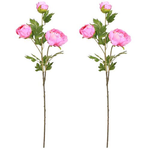 Artikel Kunstrozen Pioenrozen Kunstmatig in Roze L80cm 2st
