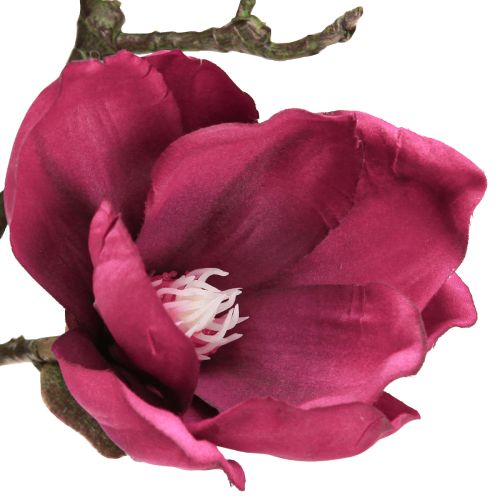 Artikel Kunstmatige Magnolia Tak Kunstbloemen Bordeaux L100cm