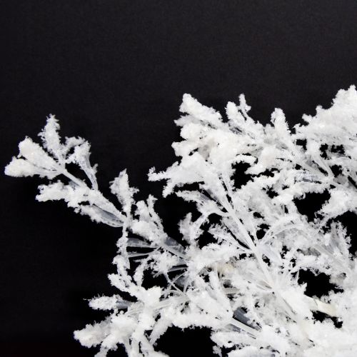Floristik24 Kunstmatige tak mat decoratieve tak winterdecoratie wit 78cm 2 stuks