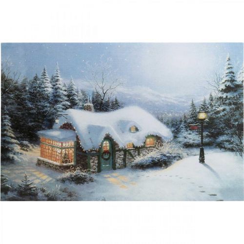 Floristik24 LED foto kerst winterlandschap met huis LED mural 58x38cm