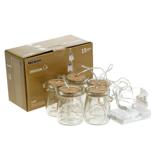Floristik24 LED lichtketting in glas warm wit 70cm 15 lampjes