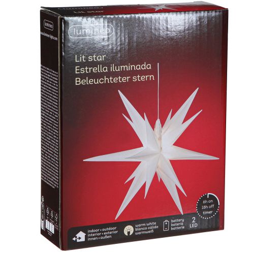 Floristik24 LED ster 3D wit timer batterij buiten Ø30cm H74cm