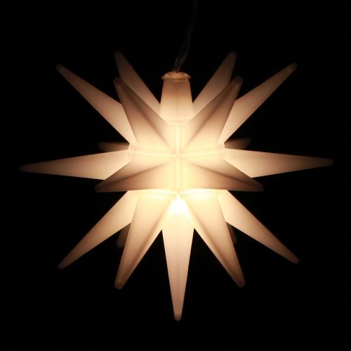 Floristik24 LED ster buiten wit licht ster batterij Ø12cm H66cm