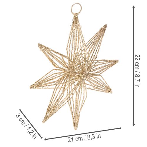 Decoratieve LED-ster van draad om op te hangen, 20 LED's, warm wit, voor binnen, 22 cm | Floristik24.nl