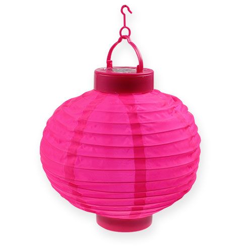 Floristik24.nl Lampion LED met solar 20cm roze goedkoop online kopen