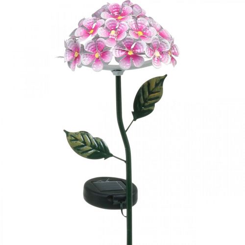 lichtgewicht herwinnen Plicht Floristik24.nl Solar bloem, LED tuindecoratie, decoratief chrysant roze  L55cm Ø15cm - goedkoop online kopen