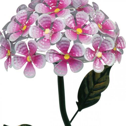 Floristik24 Solar bloem, LED tuindecoratie, decoratief chrysant roze L55cm Ø15cm
