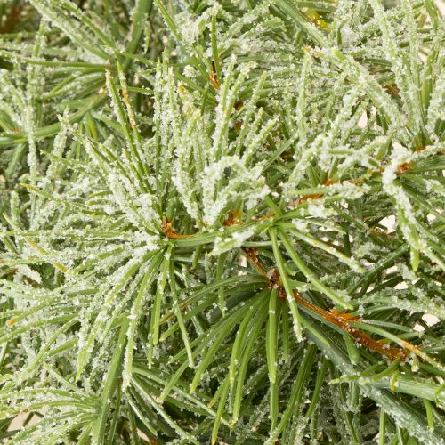 Artikel Decoratieve larikskrans voor een sfeervolle kamerinrichting, 250 cm