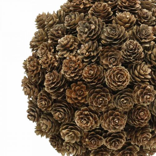 Floristik24 Lariks kegel bal decoratie met kegel om natuur op te hangen Ø20cm