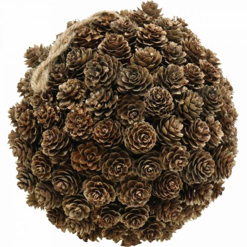 Floristik24 Lariks kegel bal decoratie met kegel om natuur op te hangen Ø20cm