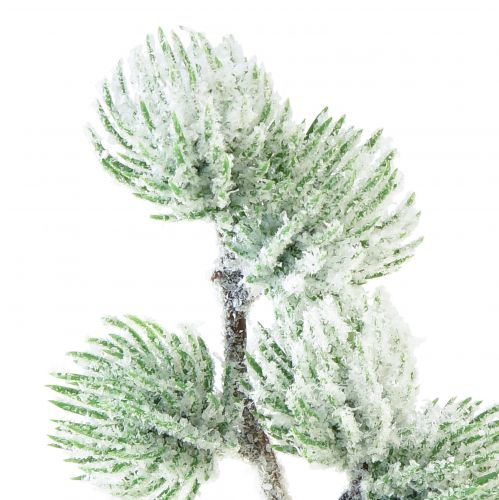 Floristik24 Lariks kunsttak groene decoratieve tak besneeuwd L25cm