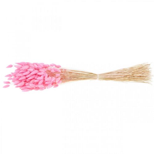Artikel Lagurus Gedroogd Konijnenstaartgras Roze 65-70cm 100g