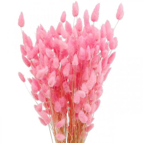 Artikel Lagurus Gedroogd Konijnenstaartgras Roze 65-70cm 100g