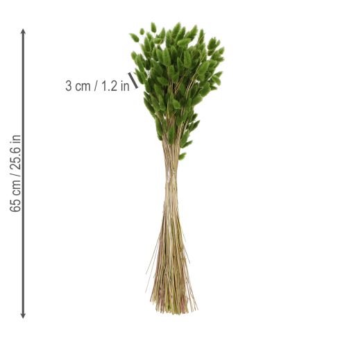 Artikel Gedroogd hazenstaartgras (Lagurus) 65-70 cm 100 g