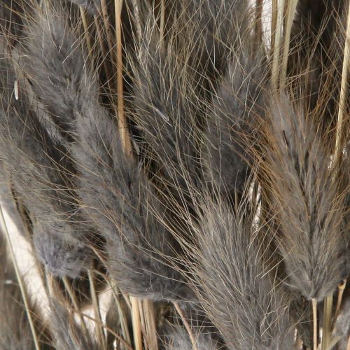 Artikel Lagurus Gedroogd Hazenstaartgras Grijs 45-55cm 50g