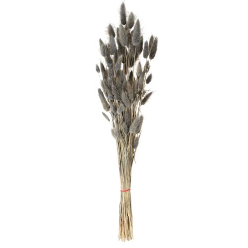 Artikel Lagurus Gedroogd Hazenstaartgras Grijs 45-55cm 50g