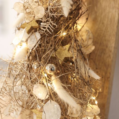 Gedroogde bloemen Lagurus Natural – Fluffy Rabbit Tail Grass in crème-wit 55-70cm 100g | Floristik24.nl