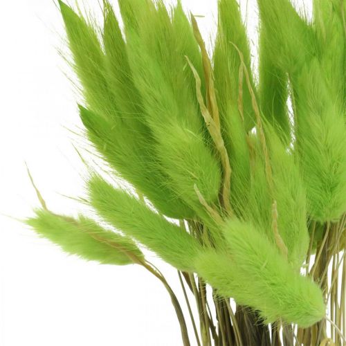 Artikel Velvet grasgroen, lagurus, droge decoratie, gedroogd zoet gras L18-50cm 25g