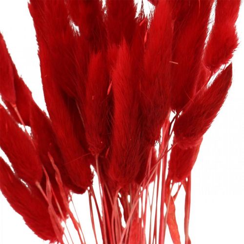 Artikel Decoratief gras rood, lagurus, fluwelen gras, droge bloemisterij L30–50cm 20g