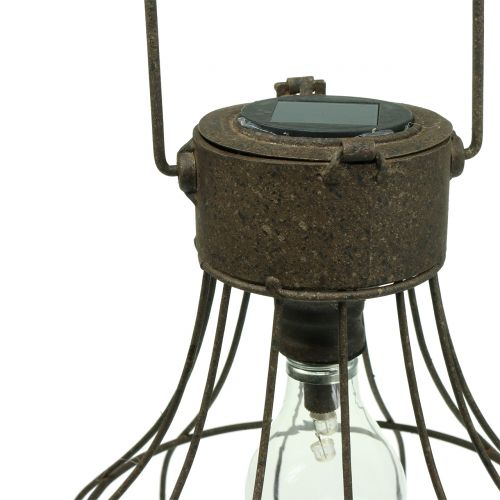 Floristik24 Decoratieve lamp Solar Ø23.5cm H24cm