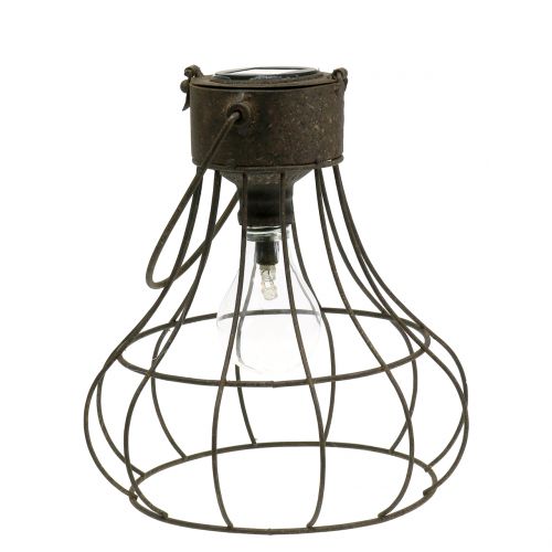 Floristik24 Decoratieve lamp Solar Ø23.5cm H24cm