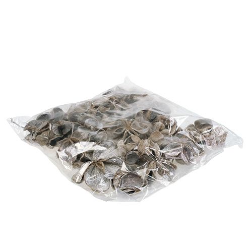 Artikel Landlotus wit gewassen 6-12cm 50 st