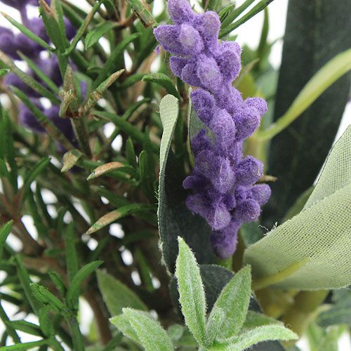 Floristik24 Lavendel-rozemarijn bos 20cm