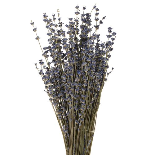 Artikel Lavendel Gedroogde Bloemen Decoratie Natuurlijk 100g 40cm 100g × 2st