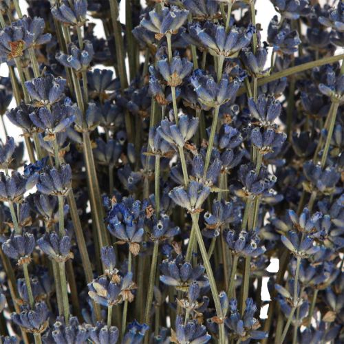 Artikel Lavendel Gedroogde Bloemen Decoratie Natuurlijk 100g 40cm 100g × 2st