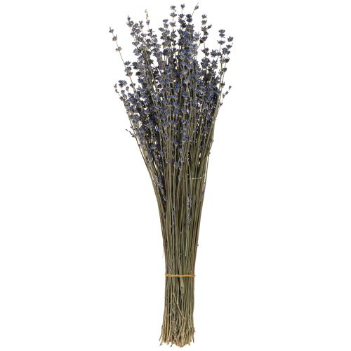 Artikel Lavendel Gedroogde Bloemen Decoratie Natuurlijk 100g 40cm 100g × 2st
