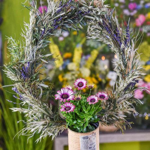 Artikel Gedroogde lavendel bos gedroogde bloemen blauw 25cm 75g