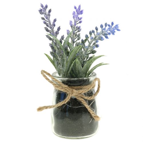 Floristik24 Lavendel in een pot H15cm