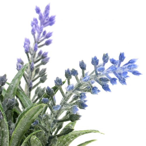Floristik24 Lavendel in een pot H15cm