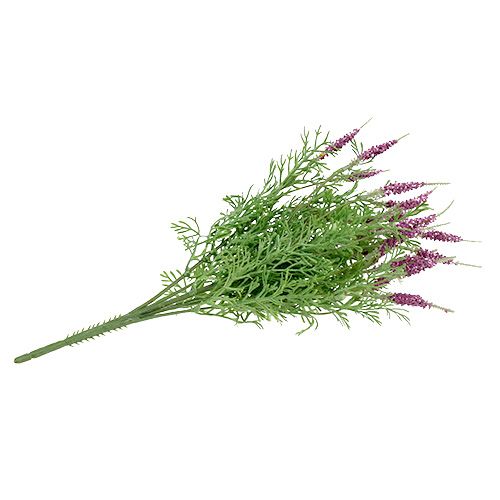 Floristik24 Lavendelstruik paars 43cm