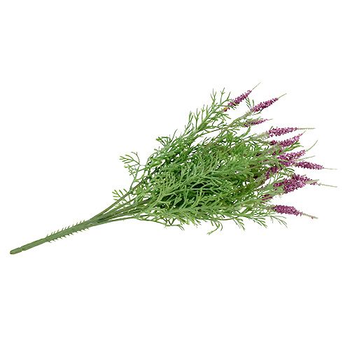 Floristik24 Lavendelstruik paars 43cm