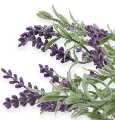 Floristik24 Decoratieve lavendelstruik 25cm