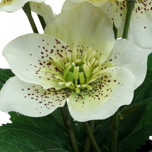 Floristik24 Lenteroos Helleborus kerstroos pot kunstbloemen H25cm wit