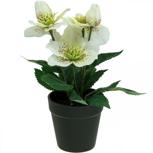 Lenteroos Helleborus kerstroos pot kunstbloemen H25cm wit