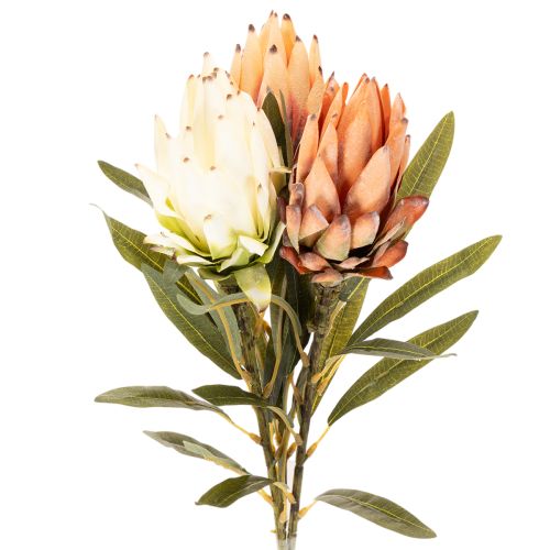 Kunstmatige Protea Leucadendron bloem met lange steel, 65 cm, 3 stuks kopen | Floristik24.nl