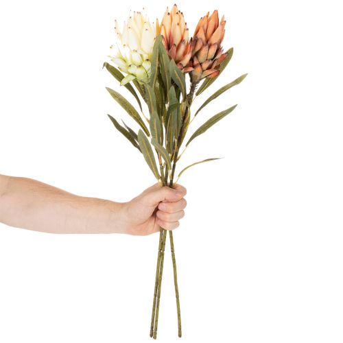 Kunstmatige Protea Leucadendron bloem met lange steel, 65 cm, 3 stuks | Floristik24.nl