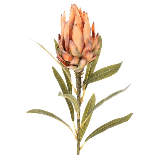 Kunstmatige Protea Leucadendron bloem met lange steel, 65 cm, 3 stuks | Floristik24.nl