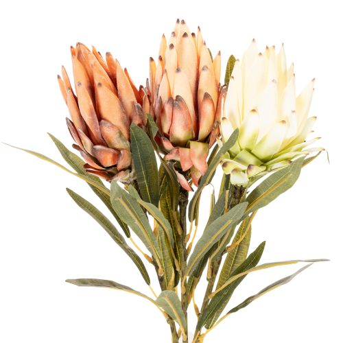 Kunstmatige Protea Leucadendron bloem met lange steel, 65 cm, 3 stuks | Floristik24.nl