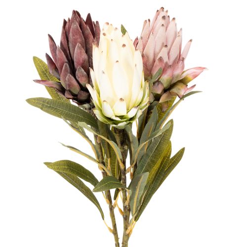 Protea kunstbloem Leucadendron 100cm 3 stuks kopen | Floristik24.nl
