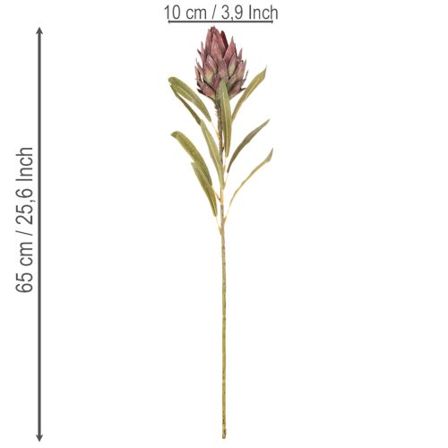 Protea kunstbloem Leucadendron 100cm 3 stuks | Floristik24.nl