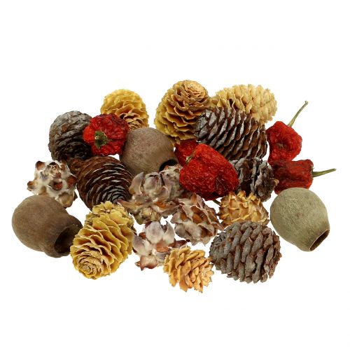 Floristik24 Exotische mix van gedroogd fruit en kegels naturel 500g