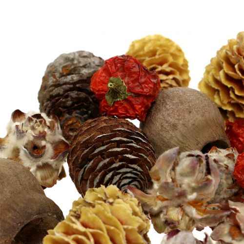 Floristik24 Exotische mix van gedroogd fruit en kegels naturel 500g