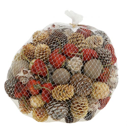 Floristik24 Exotische mix van gedroogd fruit en kegels naturel 500g