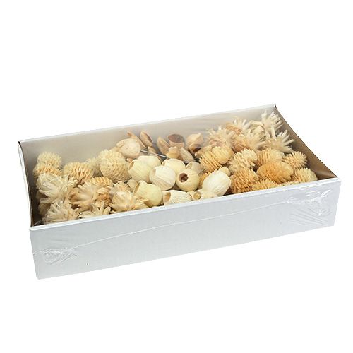 Artikel Leucodentron assortiment gebleekt op draad 100 stuks