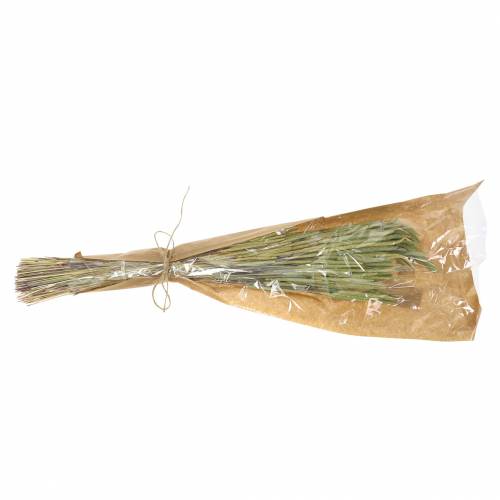 Floristik24 Timoteegras natuur 50-60cm 100g