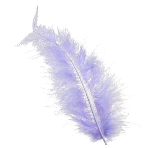 Floristik24 Paarse veren pluizig knutselmateriaal lente 5-10cm 20g